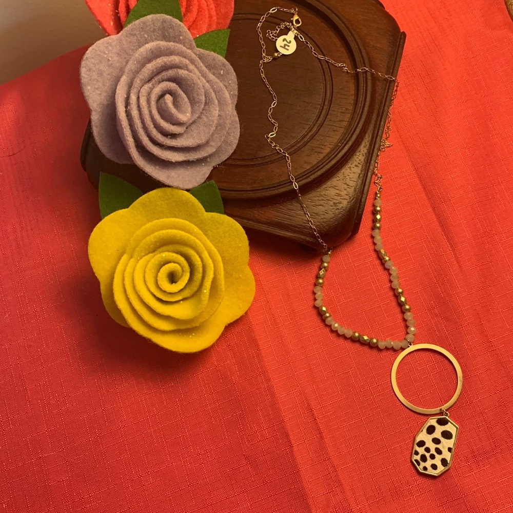 Pendant Necklace NWT